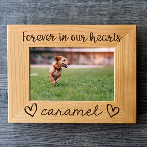 Personalized Pet Loss Frame - Pet Grief Frame / Cat Memorial Frame / Dog Frame / Pet Memorial Frame / Pet Sympathy Gift / Pet Memorial Gift