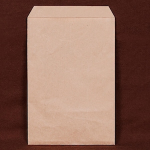 May include: A plain brown paper envelope with a slightly textured surface.