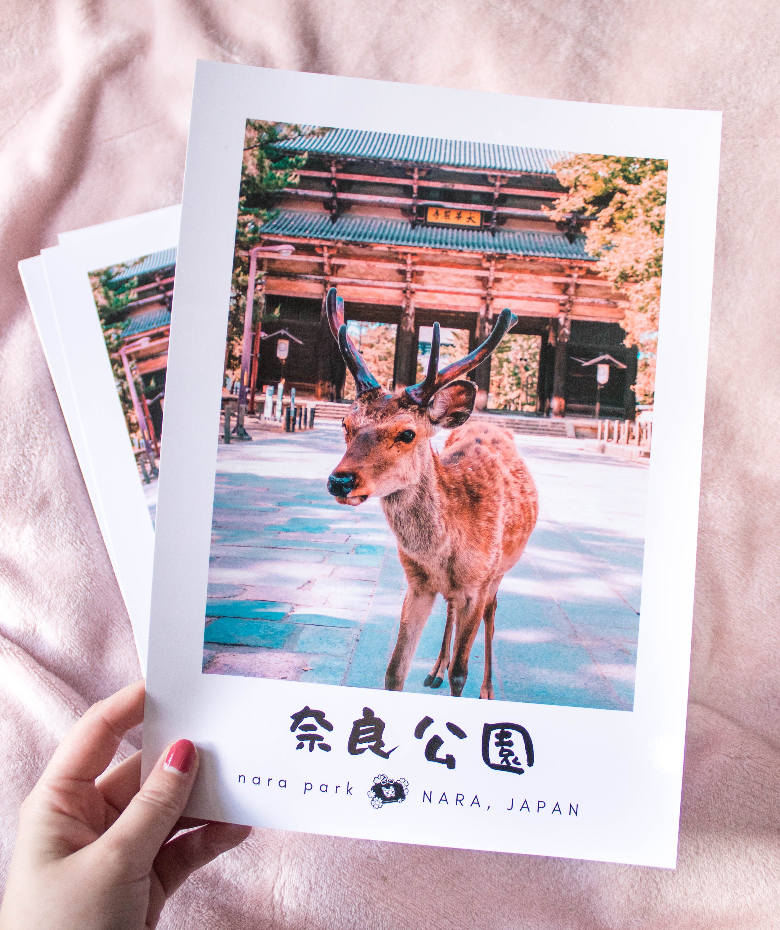 Set of 3 beautiful A4 Japan Photo Prints Japanese Sakura Etsy Polska