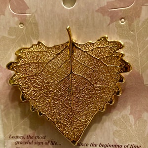 The Rose Lady 24K Gold Dipped Natural Cottonwood Leaf Bar Broche Nuevo en la etiqueta de la tarjeta original