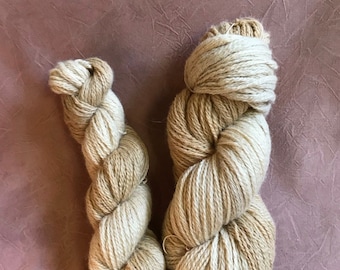 BFL Non-Superwash Plant Dyed Sock Yarn in Vanilla Frappe