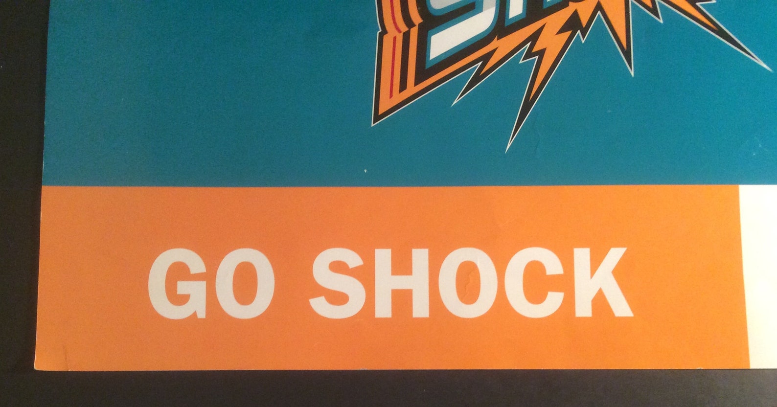 Detroit Shock Vintage 90s Logo Poster Wall Hanging Nike WNBA Etsy