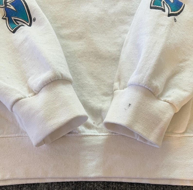 Peut inclure: Un sweat-shirt blanc &agrave; manches longues avec des poignets et un ourlet c&ocirc;tel&eacute;s. Les manches pr&eacute;sentent un motif graphique avec une lettre N en d&eacute;grad&eacute; bleu et sarcelle. Une petite tache sombre est visible sur le poignet droit pr&egrave;s du bord.