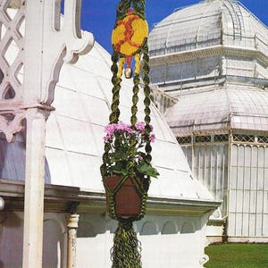 May include: A hanging macrame plant holder with a brown pot filled with pink flowers. The macrame is green and yellow, with a circular design at the top. The background includes a white building with a glass dome.