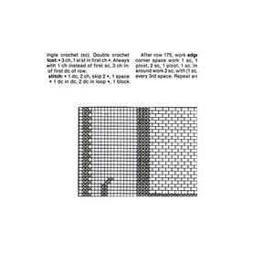 Filet Crochet Oblong Table Mat Doily Pattern - 44