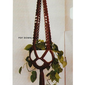 May include: A brown macrame plant hanger with a white pot and green plant hanging from it. The hanger has a tassel at the bottom.