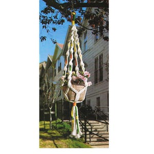 May include: A hanging macrame plant holder with a woven basket containing pink flowers. The macrame is white with colorful accents of yellow, orange, and green. The plant holder is suspended from a tree branch against a backdrop of houses.