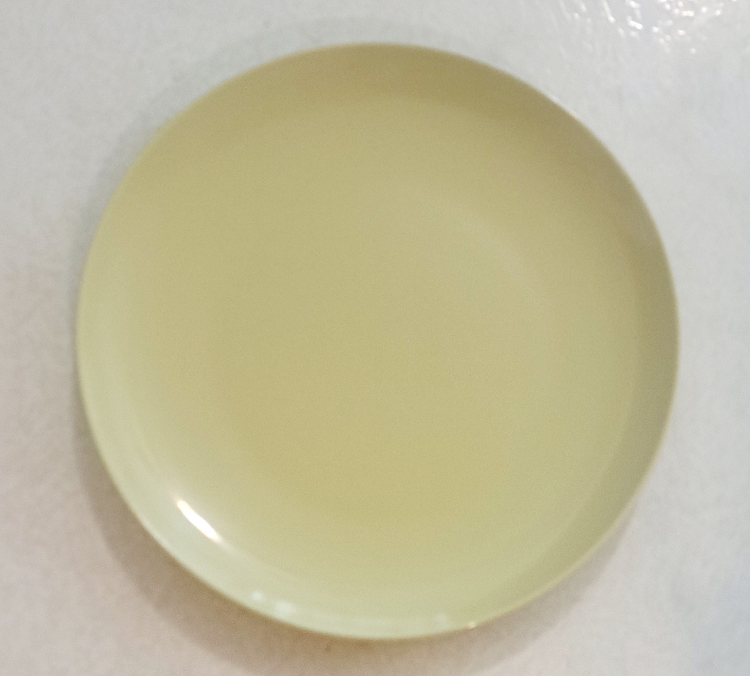 IKEA 10.5 Large Dinner Plate Dinera Light Green Color by IKEA 12011 Made in Sweden Etsy Canada