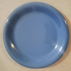 May include: A round, light blue plate with a slightly raised edge. The plate has a smooth, glossy finish and is suitable for serving food. The plate is a solid color and appears to be made of ceramic or a similar material.