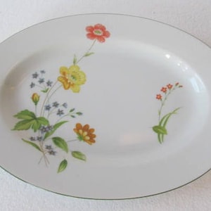 1970&#39;s Vintage April Flowers by Castle Court Collectible Fine China Dinner Platter Plate JAPAN
