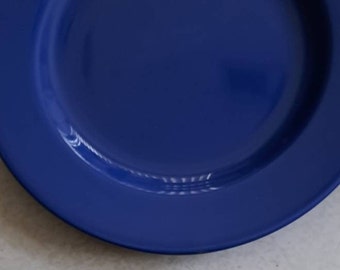 Exeter Aussicht Alegre Blau Farbe, Feine Eartheware Sammelteller Made In Portugal