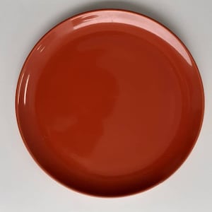 IKEA Dinner Plate 10 5/8&#39;&#39; in Fargrik Burnt Orange Gloss Color # by IKEA Made In Sweden