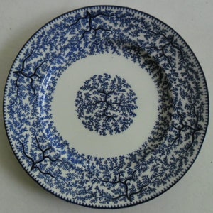 May include: A white ceramic plate with a blue and white fern pattern. The plate has a raised rim and a center design of a fern.