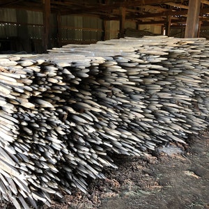Bundle Of 10 Tobacco Sticks ~48
