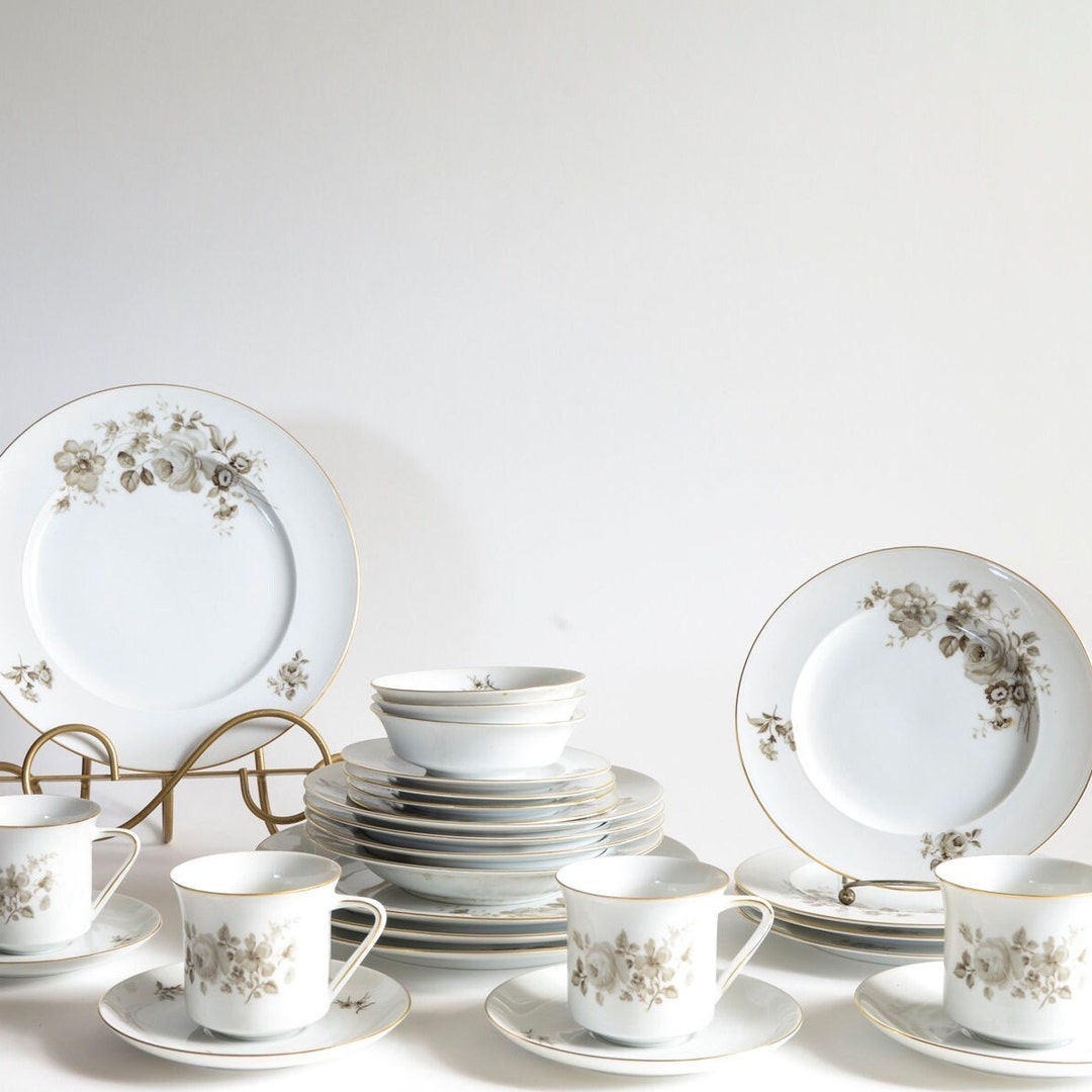 Vintage Johann Haviland China Set: Twilight Rose Bavarian Fine