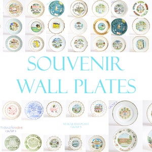 Zustand Souvenir Teller | Zustand Wand Dekor | Souvenir Standteller | Wall Decor Heimatstaat | Wanddeko Texas | Wanddekoration
