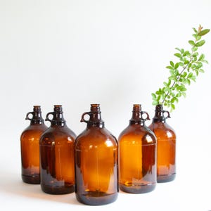 Amber Glass Apothecary Bottles | Glass Bottle Display | Dark Academia Display | Large Brown Glass Bottle | Glass Light Display | Art Glass
