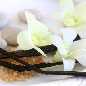 May include: White orchids and vanilla beans arranged on a white surface with brown sugar crystals.