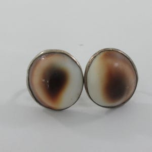 May include: A pair of stud earrings featuring a natural shell design. Each earring has a white and brown pattern, set in a silver-colored metal. The earrings are round and have a polished finish.