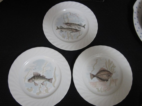 SELTMANN WEIDEN Bavaria West Germany Set of 3 Plates Fish - Etsy