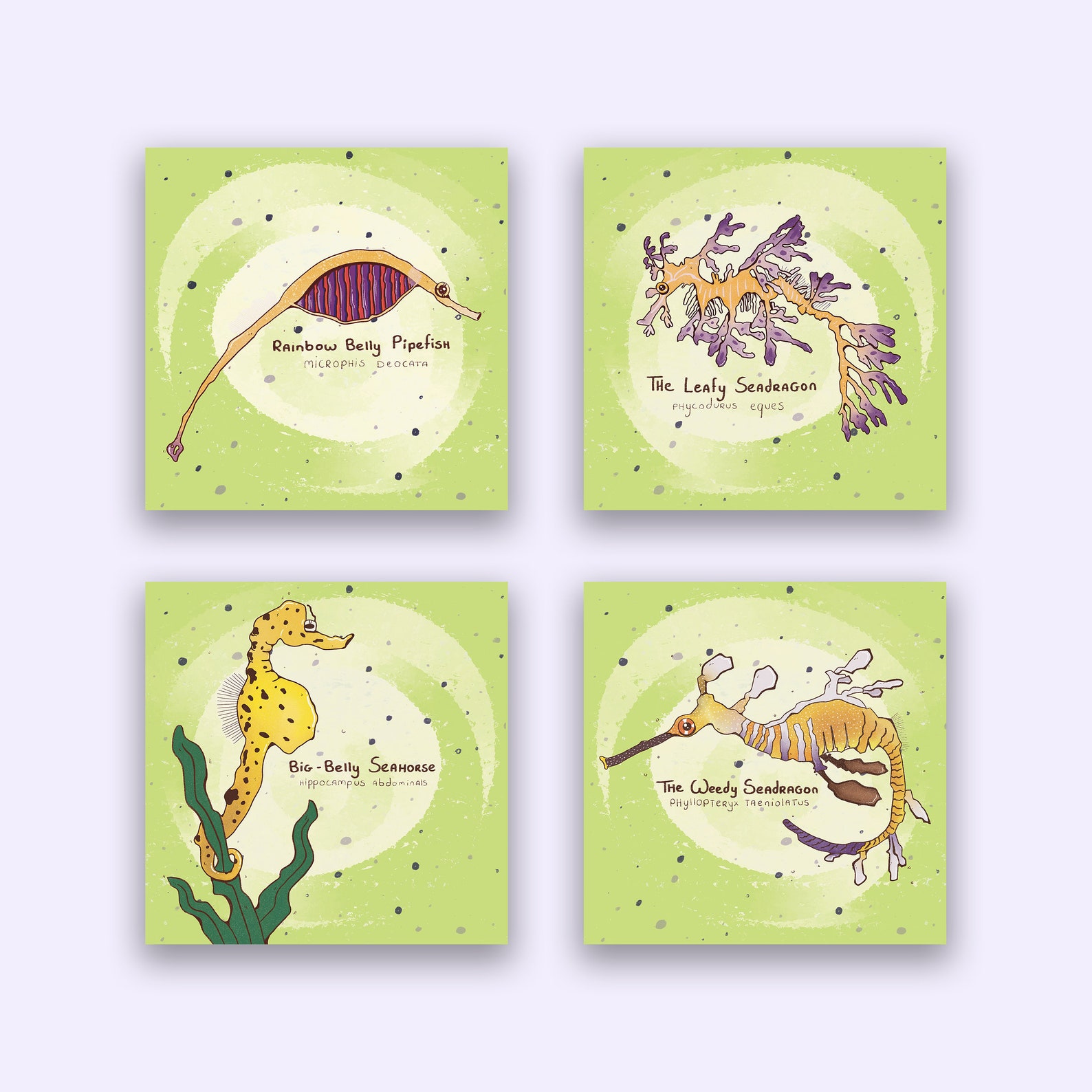 Sea life cards ocean illustration ocean lover gift nature Etsy