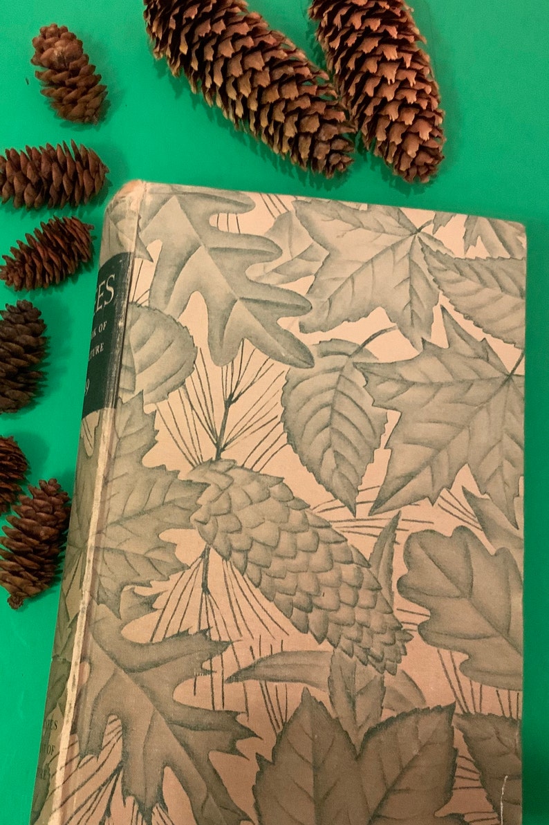 Vintage Book About Trees and Agriculture, 1949 Copyright, Hardbound ...