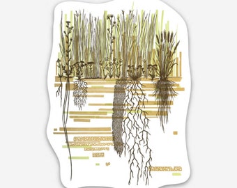 Prairieland Grassland Nature Sticker
