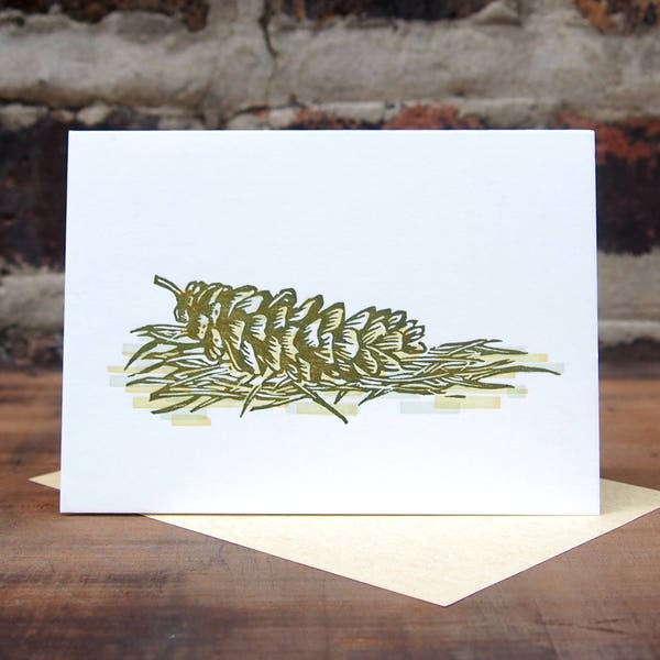 Pine Cone - Letterpress printed greeting card