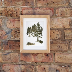 May include: A framed print of a watercolor painting depicting a group of evergreen trees in a snowy forest setting.