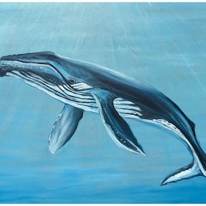Humpback whale print