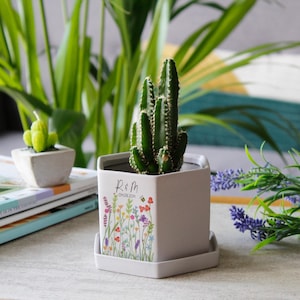 May include: A white ceramic planter with a floral design and the text "R&M 04.08.2024" features a small cactus plant.