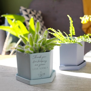 May include: Two light blue hexagonal ceramic plant pots with a saucer. The pot on the left has a succulent plant and the text "Thank you for helping me grow LOVE SOPHIE P". The pot on the right has a fern plant.