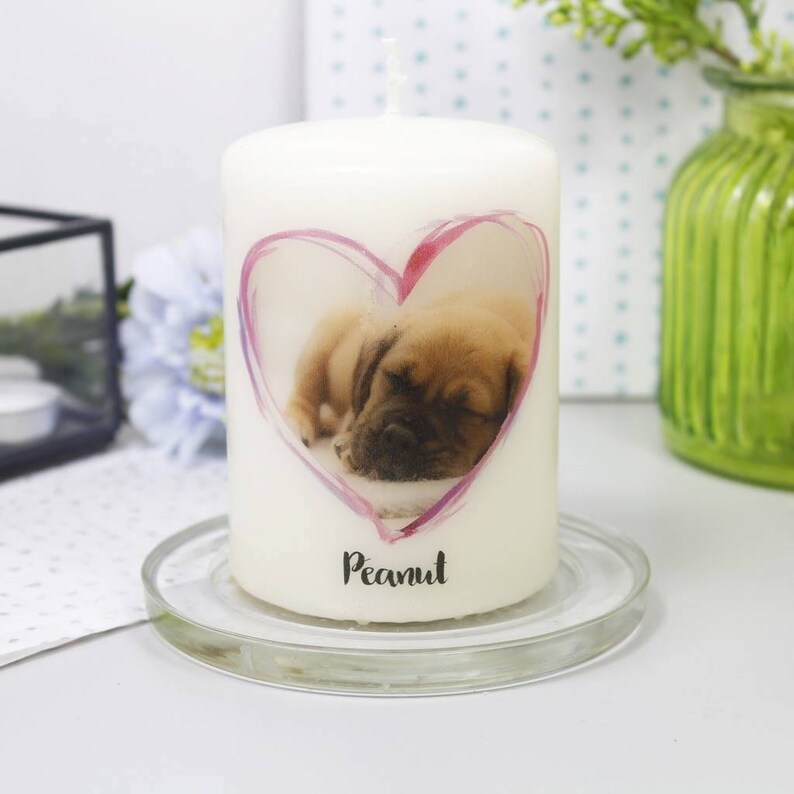 Pu&ograve; includere: Una candela a colonna bianca con un cucciolo addormentato all'interno di un cuore rosa. Il cucciolo &egrave; marrone chiaro e la candela ha il nome "Peanut" stampato sopra. La candela &egrave; su un piatto di vetro trasparente.