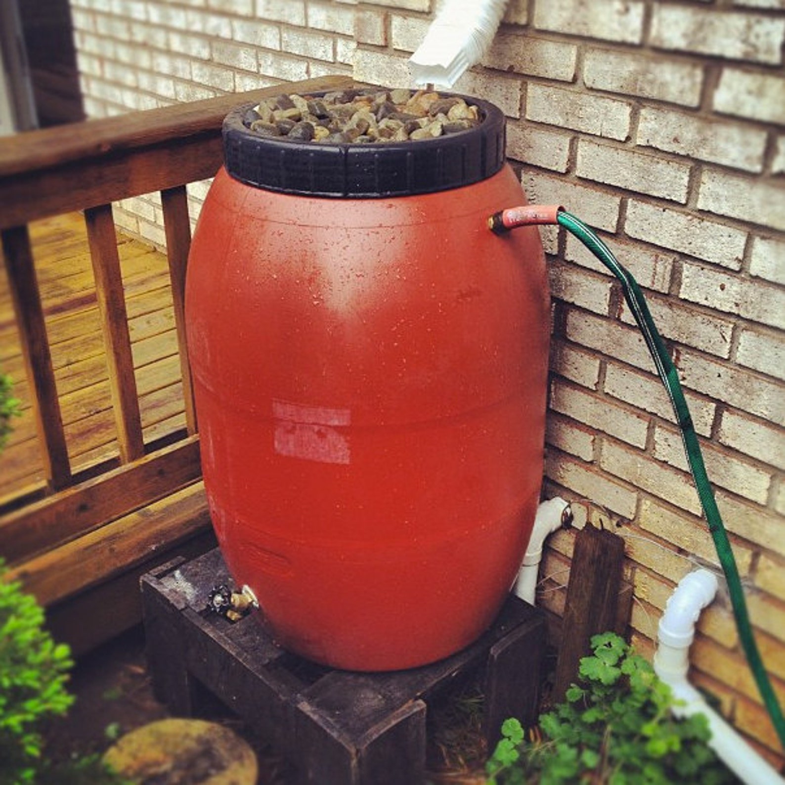 Rain Barrel DIY Kit Used Food Grade Barrel 58 Gallon Size Etsy
