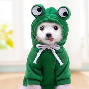 Funny Frog Dog Hoodie, Dog Halloween Costume, Dog Jacket, Dog Hoodie