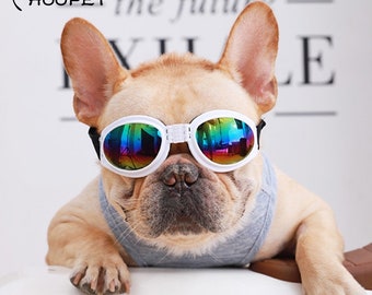 Download Dog With Sunglasses Etsy