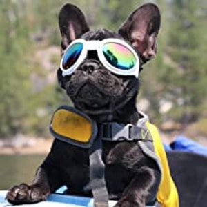 Dog Sunglasses, Goggles, Eye Wear Protection Waterproof Pet Sunglasses for Dogs Over 15 lbs image 3