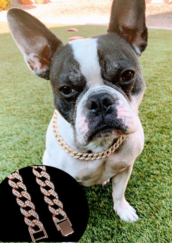 dog bling chain