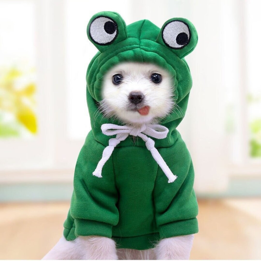 Cute Frog Plush Stuffed Animal w/ Sweater Clothes & Backpack, Soft