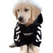 see more listings in the Dog Clothes section