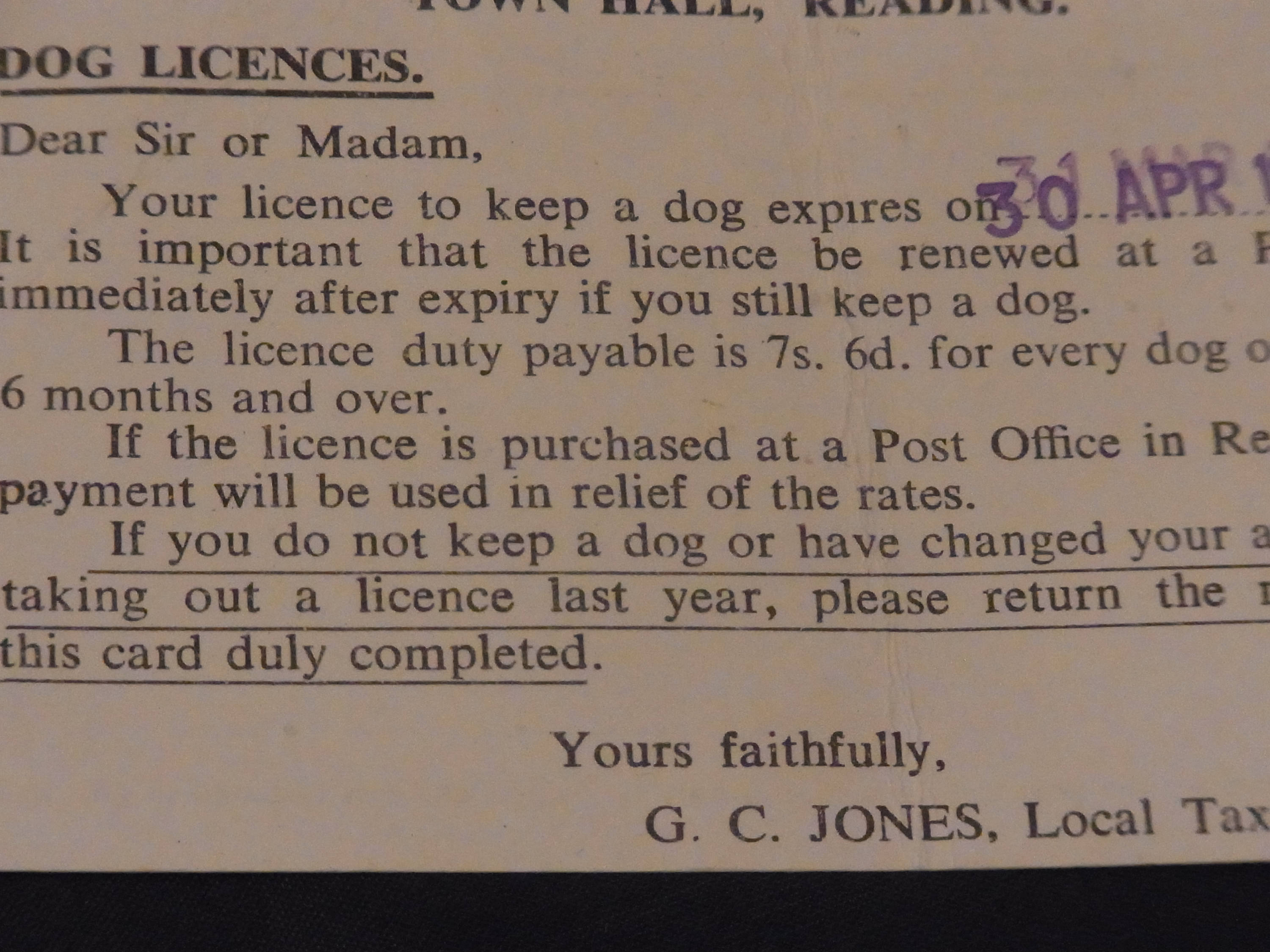 Do You Still Need A Dog Licence
