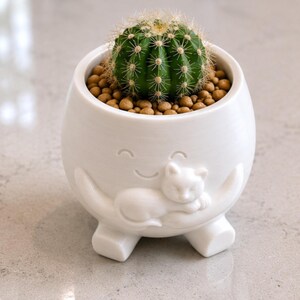 Cute Happy Face Mini Plant Pot Succulent Planter Office Desk Decor Gift Idea for Teacher or Plant Lover Indoor Cactus Planter Home Decor