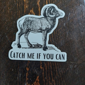 Sheep Sticker