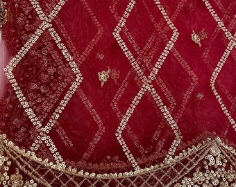 Net Duppattas Jakobsmuschel Paillettenrand Schal Chunni Chunri Odhni Update Salwar Kameez Lehengas Kurtis Karvahauth Festliche Saison Dressing