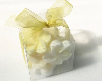 Frangipani-Plumeria Gift Card Holder /& Wallet
