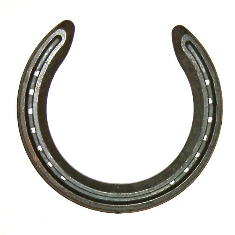 Horseshoe Game Horseshoe Pitching Game Horseshoe Garden Etsy