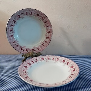 2 french 19th century hollow plates , Saint Amand , art nouveau period, antique  french tableware