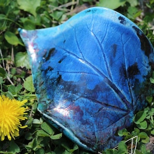 Peut inclure: Un plat en céramique en forme de feuille avec une finition brillante dans des tons de bleu vif et d'indigo profond. La surface présente des motifs de nervures en relief complexes imitant la structure naturelle d'une feuille.