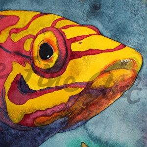 May include: Watercolor painting of a fish with red, yellow, and purple stripes. The fish has a large eye and an open mouth with visible teeth. The background is a blue-grey color.