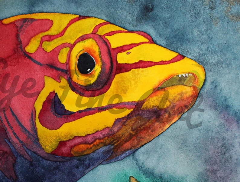 May include: Watercolor painting of a fish with red, yellow, and purple stripes. The fish has a large eye and an open mouth with visible teeth. The background is a blue-grey color.